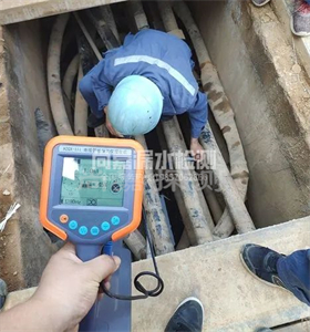 郸城管线探测